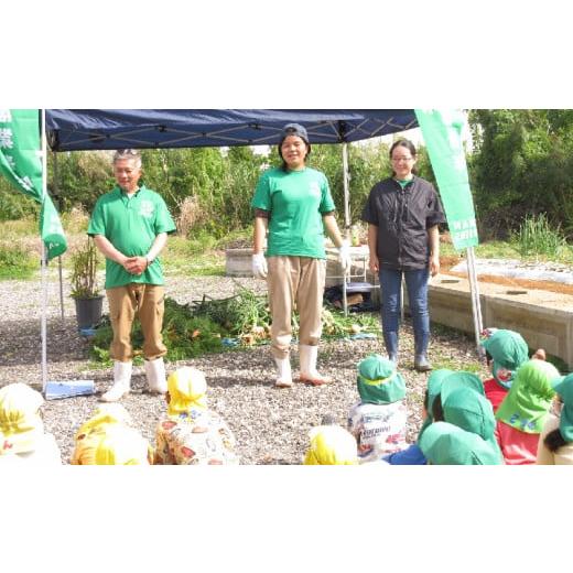 ふるさと納税 沖縄県 糸満市 沖縄よりお届け！季節の野菜詰め合わせ（5〜12種類）