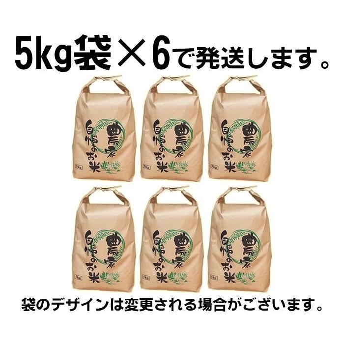 新米 米 お米 5kg×6 ササニシキ 玄米30kg 令和5年産 宮城県産 白米・無洗米・分づきにお好み精米 送料無料 当日精米