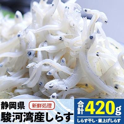 ふるさと納税 吉田町 静岡県駿河湾のしらす干し120g×1・釜上げしらす150g×2