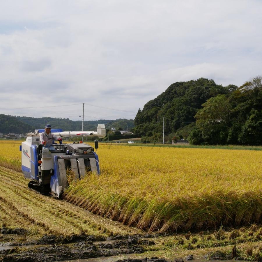 コシヒカリ 精米5kg いわき市産 令和5年産新米 農家直送米