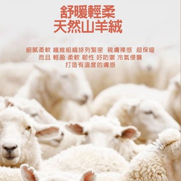 羊絨蠶絲強效蓄熱絨暖紗保暖肌底衣