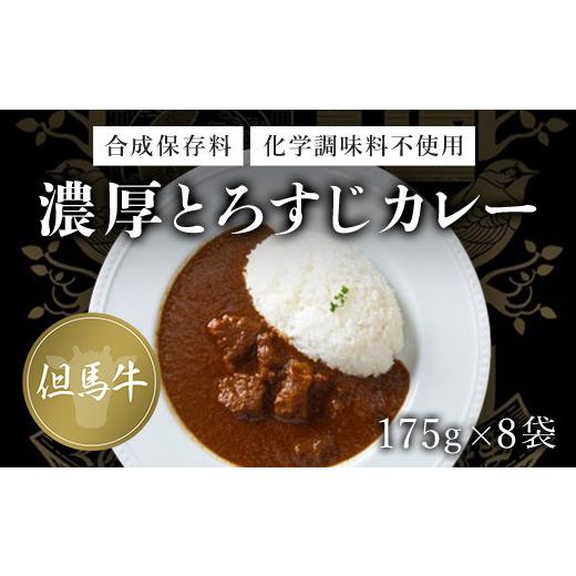 ふるさと納税 京都府 福知山市 無添加(175g×8袋) ふるさと納税 但馬牛 カレー 濃厚 とろすじ 無添加 飛燕 レ・ジロンデル 京都…