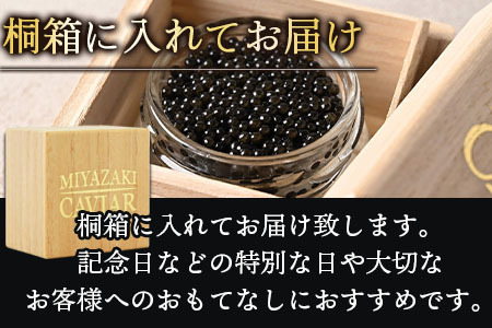 ＜クニトミキャビア 日本酒フレーバー 20g（20g×1）＞翌月末迄に順次出荷