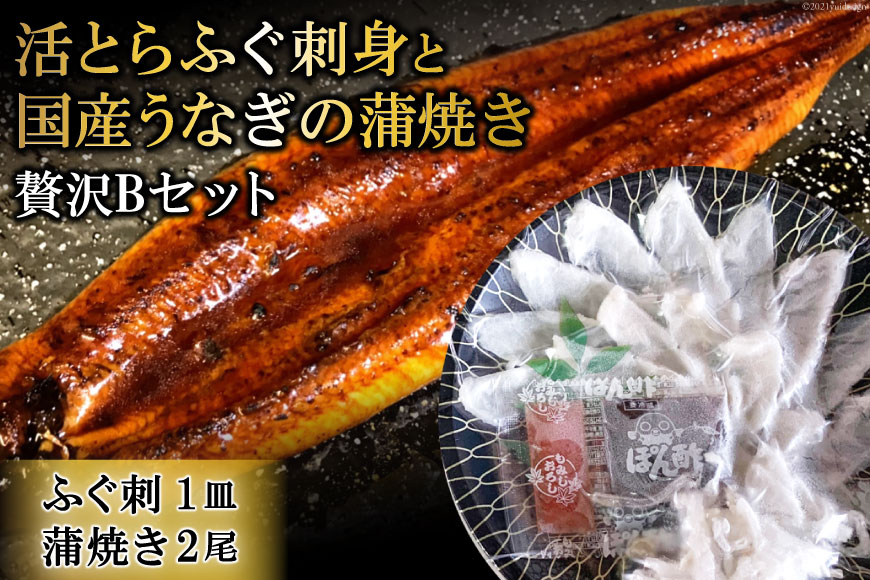 活とらふぐ刺身と国産うなぎの蒲焼き贅沢Bセット（ふぐ刺1皿・蒲焼き2尾）