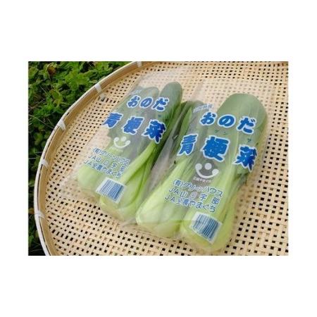 ふるさと納税 山陽小野田の野菜三昧（冬セット） 山口県山陽小野田市