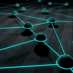 Trees and Graphs: Basics