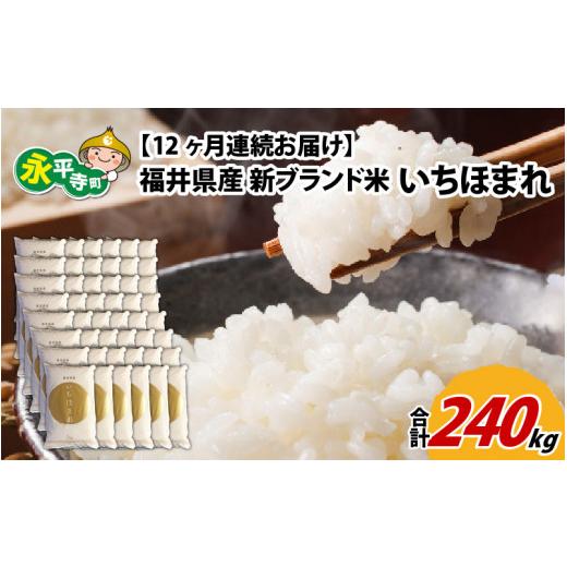 ふるさと納税 福井県 永平寺町 令和5年度産 福井県産新ブランド米 いちほまれ 20kg（5kg×4袋）×12ヶ月（計240kg） [N-002024]