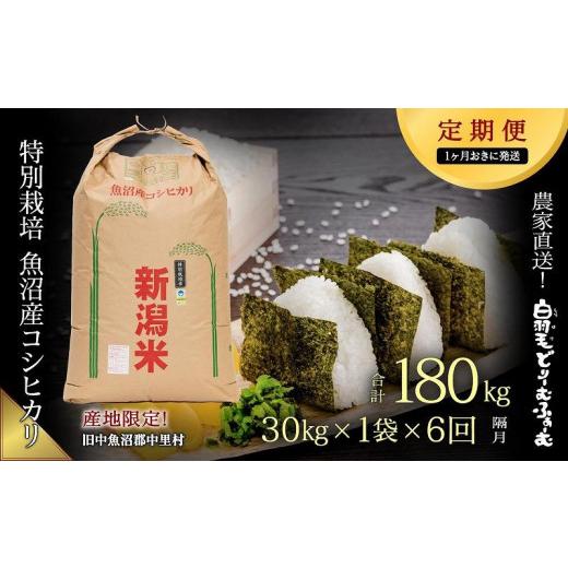 ふるさと納税 新潟県 十日町市 ≪令和5年産≫農家直送！魚沼産コシヒカリ特別栽培「白羽毛の米」玄米(30kg×1袋)×6回…