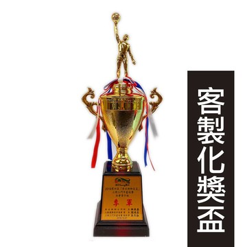籃球獎盃 客製化獎盃 T007D/一個入(定800) 比賽獎盃 競賽獎盃 籃球獎座 冠軍獎盃 活動獎盃 訂製獎盃 運動獎盃【APP滿額下單4%點數(單一帳號最高1000點)】7/31止