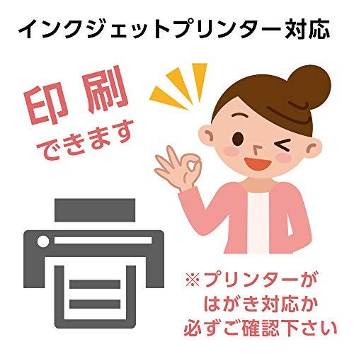 喪中 寒中見舞い はがき用紙 50枚 胡蝶蘭 年賀欠礼 ハガキ