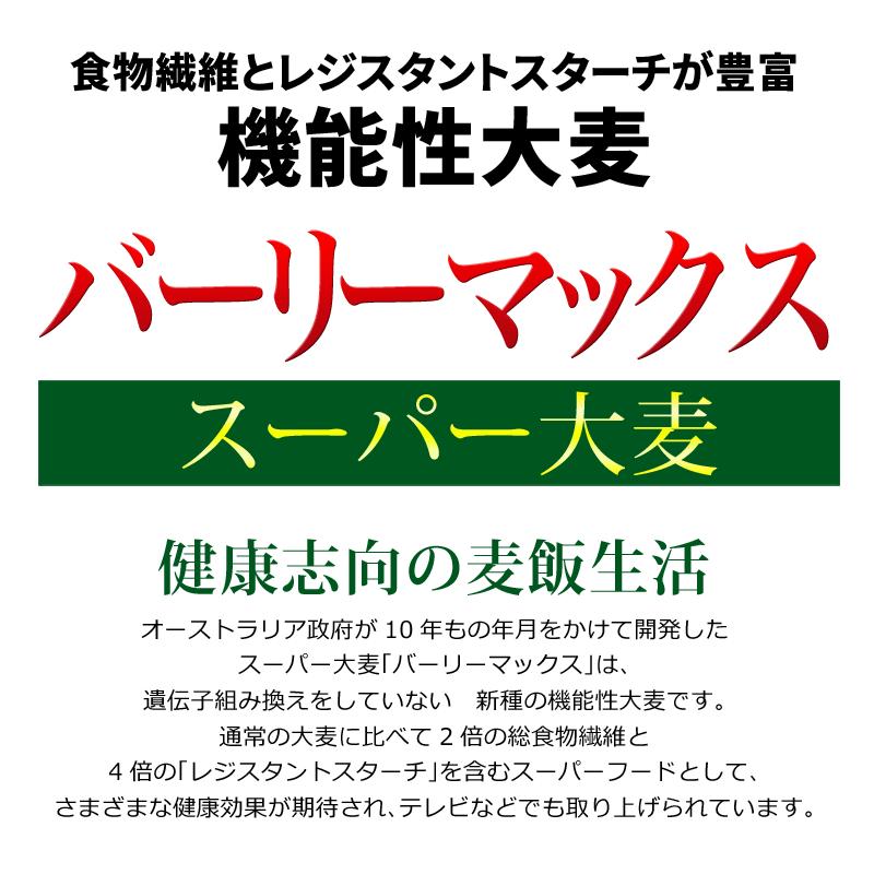 レジスタントスターチ スーパー大麦 バーリーマックス 900g×1袋 送料無料 メール便限定⇒送料0円