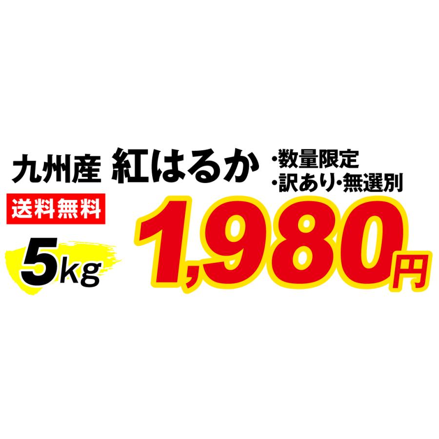 さつまいも 紅はるか 5kg 数量限定 九州産 ご家庭用 訳あり 送料無料 食品