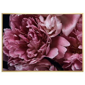 Boluo 菠蘿選畫所 暗調宏觀牡丹畫作 BFFB3462G 40 x 30cm 畫框 居家裝飾藝術品  金色