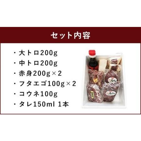 ふるさと納税 馬刺しセット 1.1kg 馬刺し 盛合わせ（大トロ、中トロ、など） 熊本県宇城市