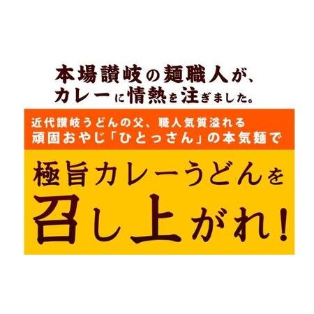 ふるさと納税 カレーうどん 丸亀からお届け コク旨 カレー うどん 24人前 麺類 乾麺 生麺 半生麺 讃岐 レンジ 本格的 本場 簡単 スパイス 手軽 .. 香川県丸亀市