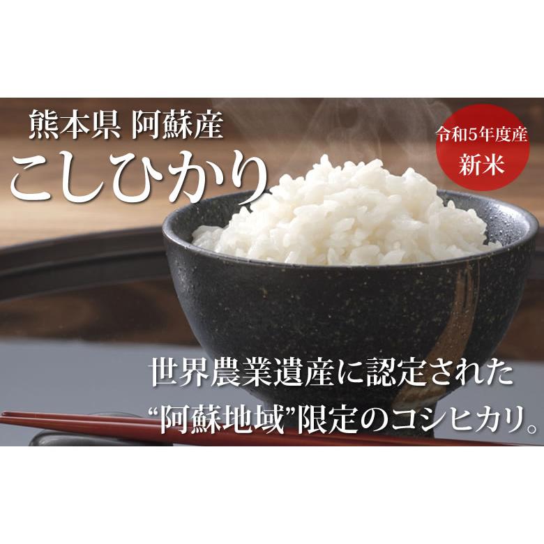 こしひかり 5kg 米 送料無料 熊本県阿蘇産 新米 令和5年産 お米 白米 玄米 ひのひかり 森のくまさん