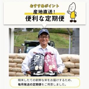 ふるさと納税 定期便 新米 6kg 12ヶ月 京都丹波米 こしひかり 白米 12回定期便 6kg （2kg×3袋） × 12回 計72kg ※精米したてをお届け.. 京都府亀岡市