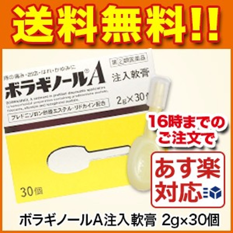 痔の薬 ボラギノールa注入軟膏 2g 30個 痔 いぼ痔 きれ痔 さけ痔 出血 はれ かゆみの緩和 リドカイン 痔の薬 第2類医薬品 武 通販 Lineポイント最大5 0 Get Lineショッピング