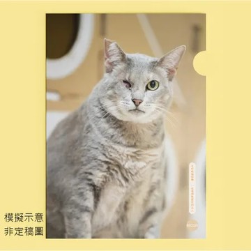 《躲貓貓》2023年年曆系列單層式L夾／RICOH【臺北市流浪貓保護協會】 TAAZE讀冊生活