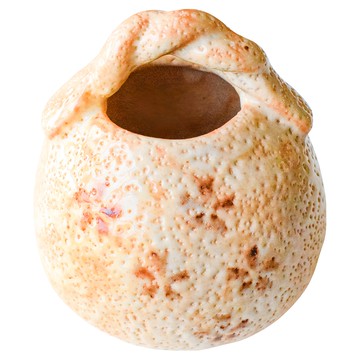 佐和陶瓷國際有限公司 赤志野櫻小花瓶 日本製 170ml  橘色  9.5 x 8cm  1個