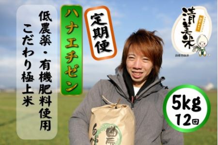 《定期便》5kg×12回 60kg 特別栽培米 ハナエチゼン 無洗米 低農薬 《食味値85点以上！こだわり極上無洗米》   福井県 あわら 北陸 米 お米 人気 新米