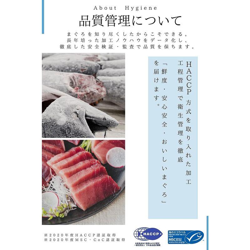 三崎恵水産 無添加 日本が誇る伝統調味料の手仕事 まぐろづけ丼10パックセット