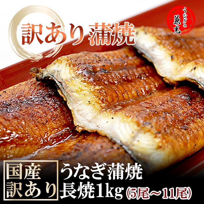 国産 うなぎ 蒲焼き 一色産 訳あり 1kg 5尾〜11尾 タレ・山椒付き うなぎの兼光 お取り寄せ お歳暮 のし対応可  70代 80代