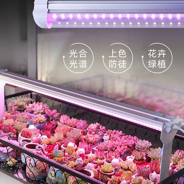多肉補光燈 上色全光譜LED家用育苗花卉植物生長燈室內仿太陽光燈