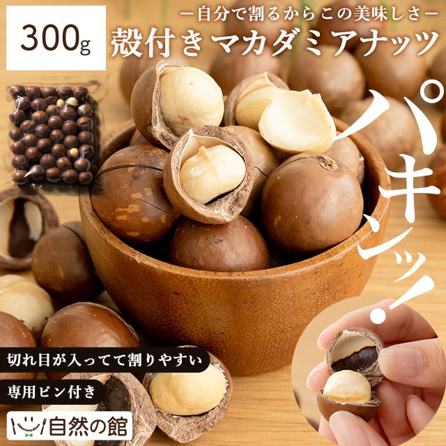 ナッツ 殻付きマカダミアナッツ 素焼き 300g 送料無料 無塩 無添加 チャック付き ローストナッツ