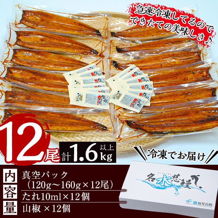 鹿児島県産うなぎ蒲焼 名水慈鰻 12尾(1尾約120g以上)＜計約1.6kg以上＞ f2-003