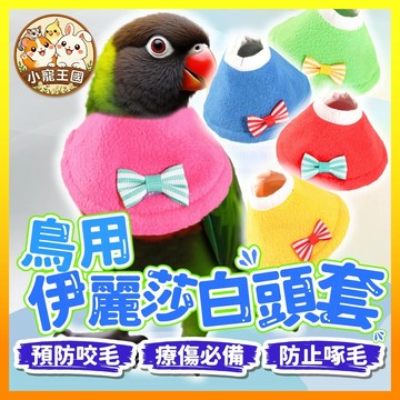 【小寵王國】鳥用伊莉莎白頭套 鸚鵡頭套 鸚鵡脖套 防啃頭套 防咬毛頭套 鸚鵡防咬毛頭套 鳥衣服 鳥頭套 鳥類用品