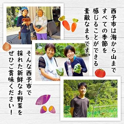 ふるさと納税 西予市 新鮮野菜の詰め合わせ