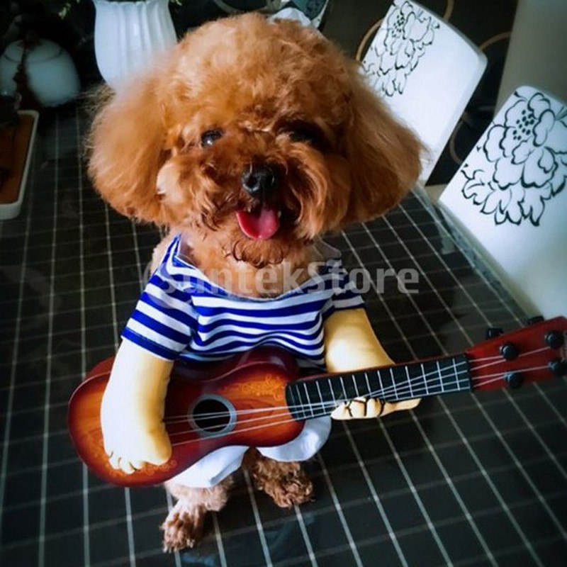 ハロウィーンの犬ギターストリップセーターコスプレ衣装冬のアパレルジャンプスーツ 通販 Lineポイント最大0 5 Get Lineショッピング