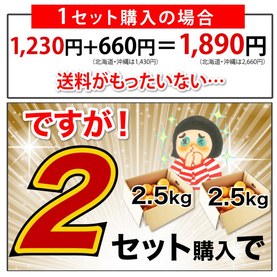 みかん 訳あり 2.5kg 2箱買うと送料無料 3箱買うと1箱分増量 極早生 有田みかん 家庭用 果物 フルーツ 和歌山産 お歳暮