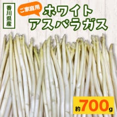 ご家庭用ホワイトアスパラガス　約700g