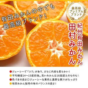 ふるさと納税 AB7069_絶品！ 田村みかん 10kg (S・M・Lサイズのいずれか) 和歌山県湯浅町