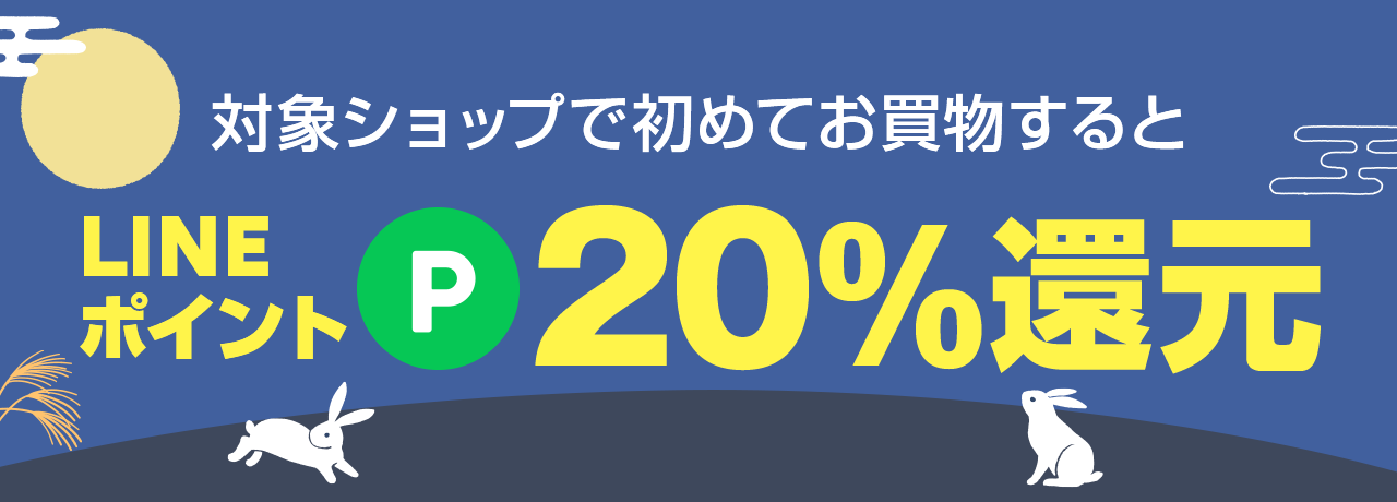 新規20%ポイント