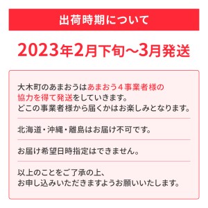 先行予約 福岡育ち あまおう いちご 約270g×4パック 合計1080g  CB223