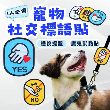 【快速出貨】寵物社交標語 寵物社交貼 寵物外出標語 貓狗社交標籤貼 社交提示語 貓狗外出魔術貼 社交標誌 社交警告牌 寵