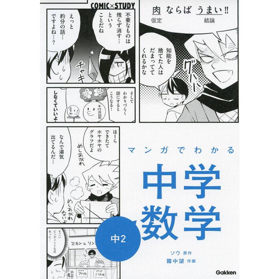 マンガでわかる中学数学中2