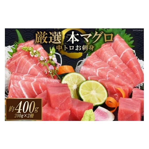 ふるさと納税 宮城県 気仙沼市 まぐろ 本マグロ背トロ 約400g(200g×2柵) 中トロ 刺身 冷凍 [豊洋海産流通 宮城県 気仙沼市 20562453]