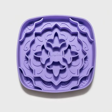 紫色藍色慢食碗