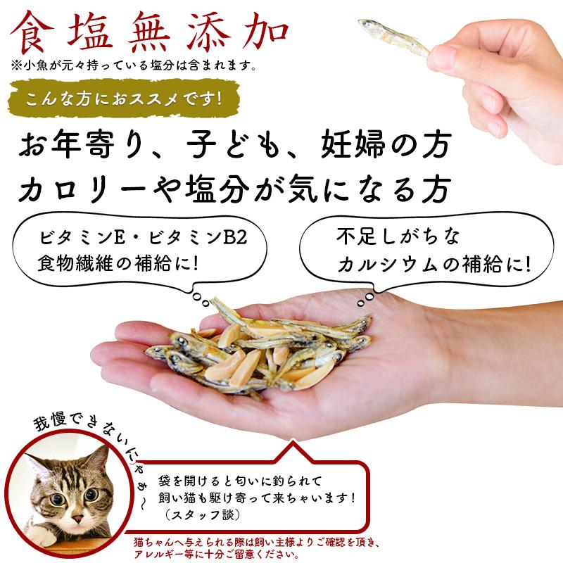 たっぷり300g！＜塩無添加食べるにぼし＆アーモンド＞酸化防止剤・保存料不使用 煮干し いりこ カタクチイワシ 送料無料 海と太陽 無塩