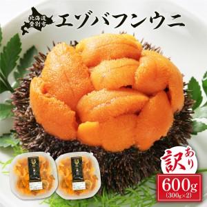 ふるさと納税 ≪規格外品600g≫無添加エゾバフンウニ塩水パック600g B 23年10月下旬〜11月下旬 北海道登別市