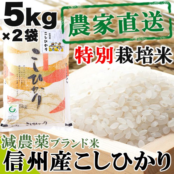 こしひかり コシヒカリ お米 白米 特別栽培米 送料無料 注文後精米 長野県 信州産　減農薬 10kg（5kg×2袋）