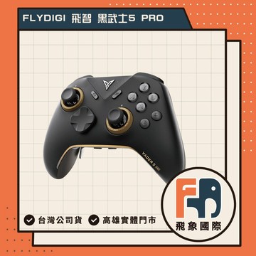 【現貨】FLYDIGI 飛智 電競無線遊戲手把 黑武士5PRO｜適用Switch / PC / 手機｜原廠保固 飛象國際