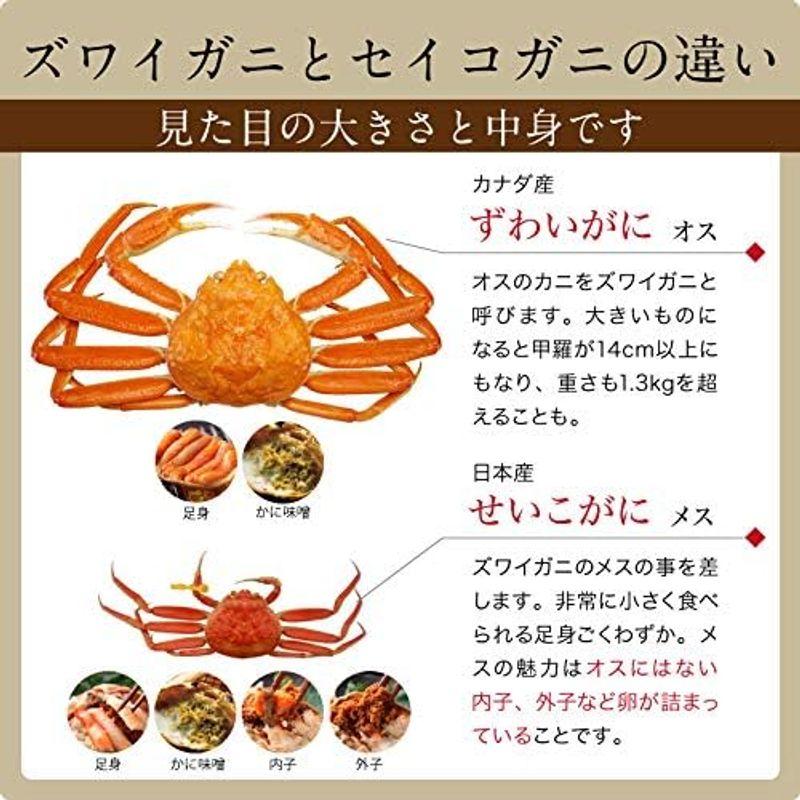 カニ 甲羅盛り 食べ比べ カナダ産 ズワイガニ 6個 日本産 セイコガニ 6個 セット 冷凍 甲羅盛 かに 蟹 ギフト 越前宝や