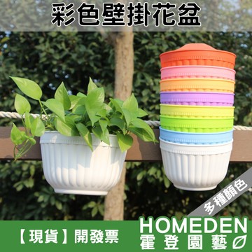 【隔日到貨】彩色壁掛花盆 壁盆 掛盆 塑膠花盆 花架 花器 盆栽 園藝造景 造型花盆【HOMEDEN霍登園藝】