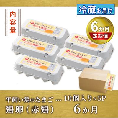 ふるさと納税 佐伯市 平飼い赤鶏のたまご (総量300個・S-Mサイズ50個×6回)