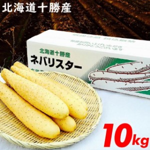 ギフト 野菜 今季出荷開始 送料無料 北海道産 新世代野菜 ネバリスター(10kg)   ながいも 長いも 長イモ 芋 いも 自然薯 里芋 やまといも